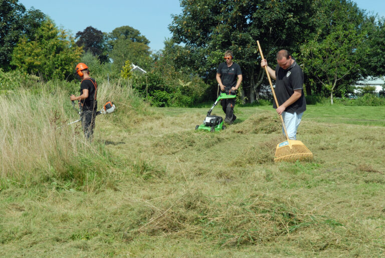 Drie jonge mannen maaien en harken gras
