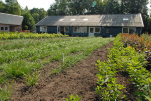 Grote schuur met op de voorgrond planten en groenten in een tuin