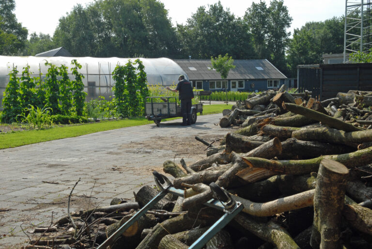 Berg haardhout met op de achtergrond een plantenkas