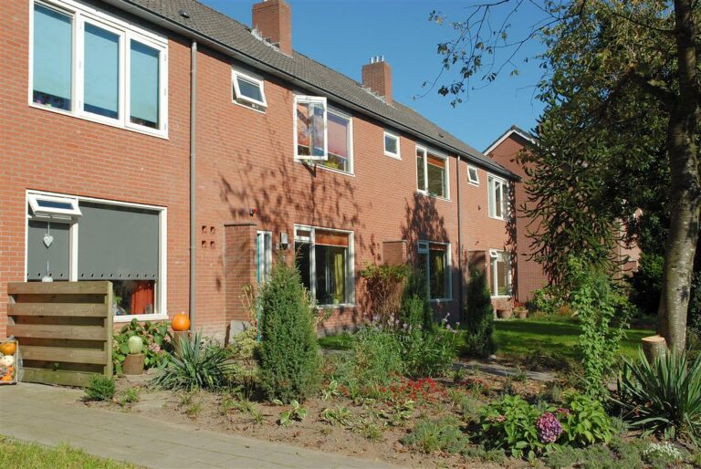Rij huizen met tuinen ervoor