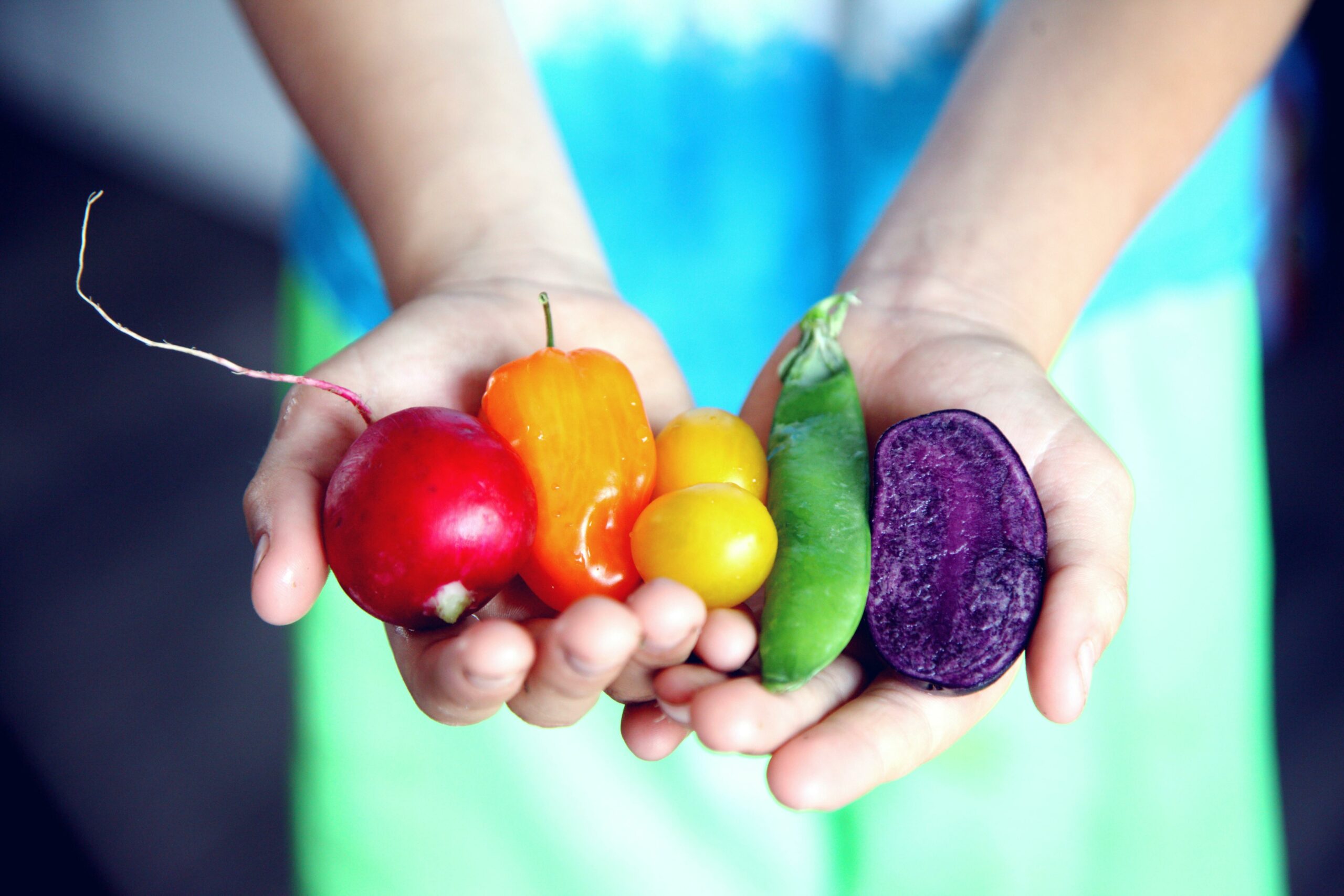 Twee open handen met fruit en groenten