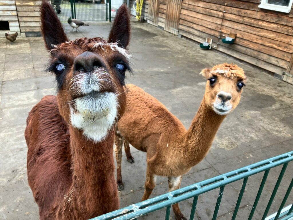 werk en dagbesteding zuidhorn