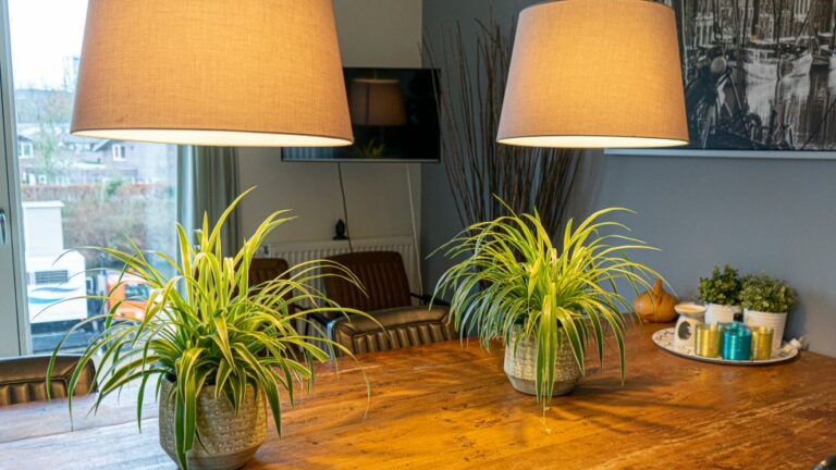 Eettafel 2 groene plantjes 2 lampen erboven